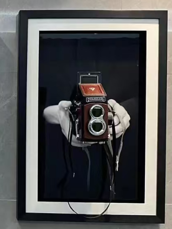 Camera Mural - S2-60-52B